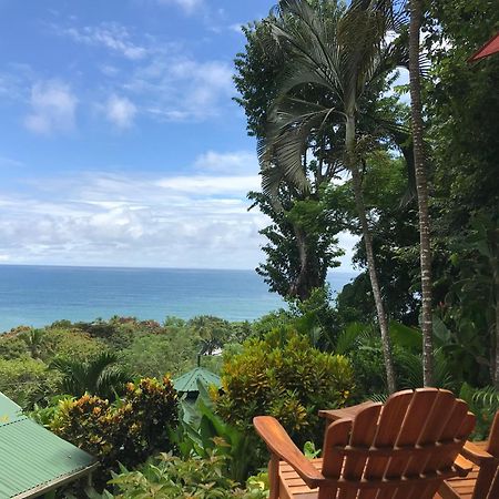 The Chorotega Hotel, Montezuma モンテスマ エクステリア 写真