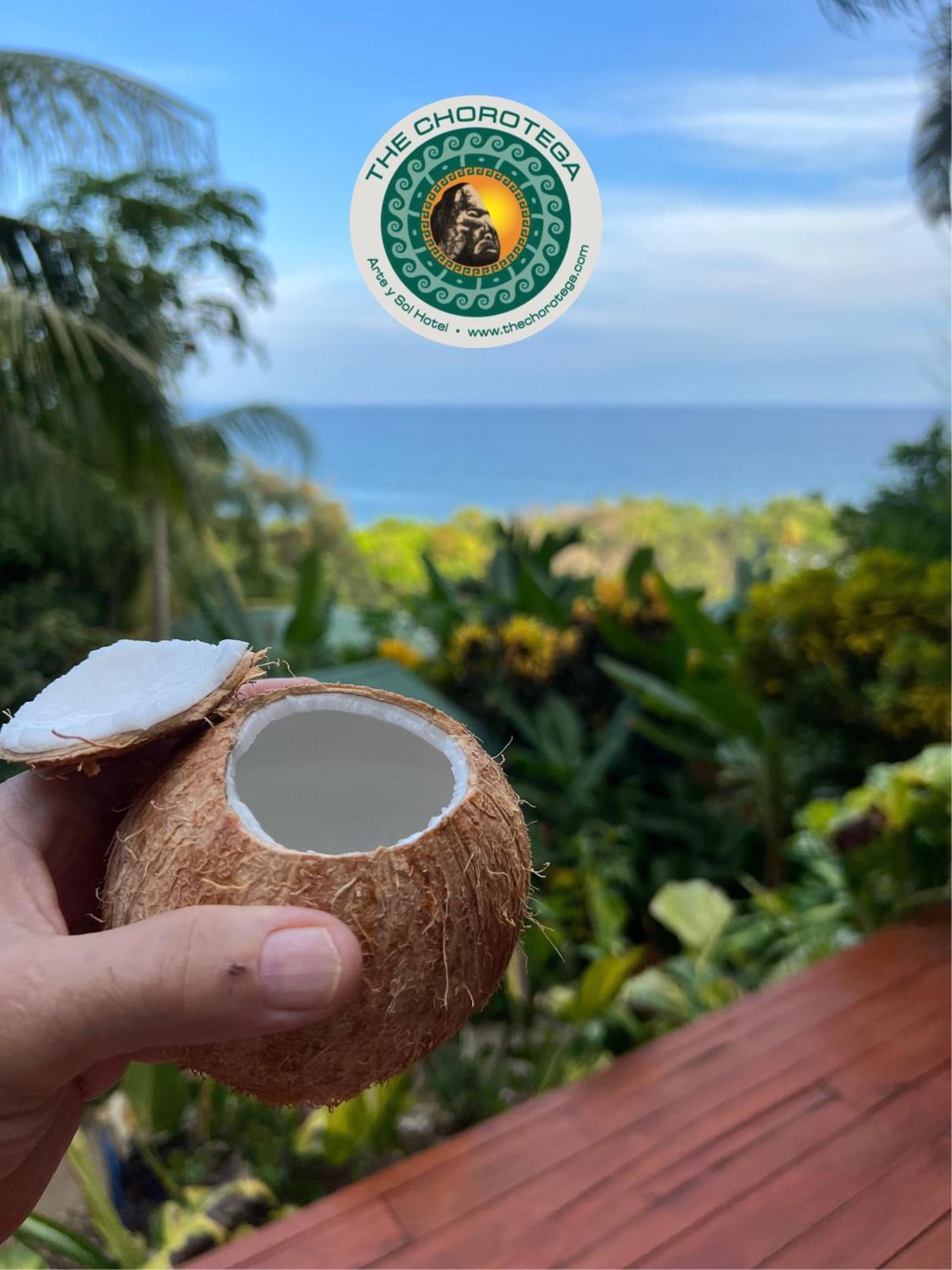 The Chorotega Hotel, Montezuma モンテスマ エクステリア 写真
